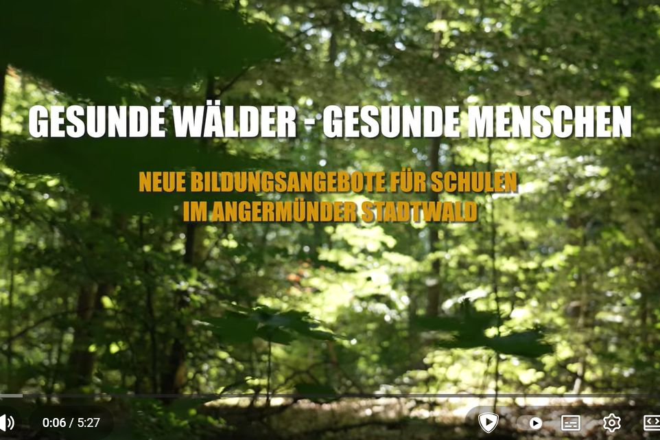 Projekt Healty Forest Regions